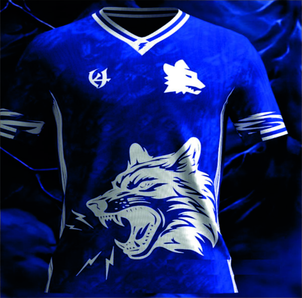 Blue Wolf Design