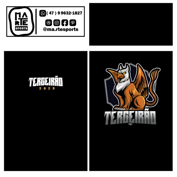 Arte Estampa Camisa Terceirão Aguia - Imagem 2